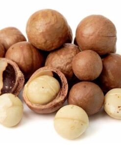 Arbol frutal Nuez Macadamia