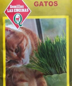 Semillas Sobre Las Encinas Pasto para gatos