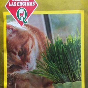 Semillas Sobre Las Encinas Pasto para gatos