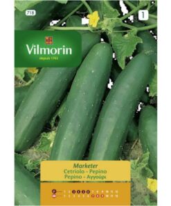 Sobre Semillas Vilmorin Pepino Marketer Vilmorin