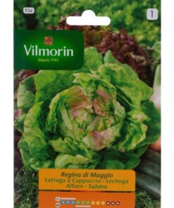 Sobre Semillas Vilmorin Lechuga Reina de Mayo Vilmorin
