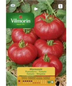 Sobre Semillas Vilmorin Tomate Marmande Vilmorin
