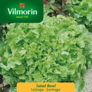 Sobre Semillas Vilmorin Lechuga Salad Bowl Vilmorin
