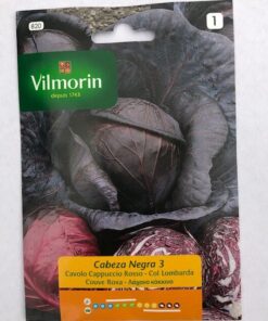 Sobre Semillas Vilmorin Repollo Cabeza Negra 3