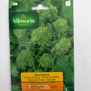 Sobre Semillas Vilmorin Grelo (cime di rapa o broccoli rabe)