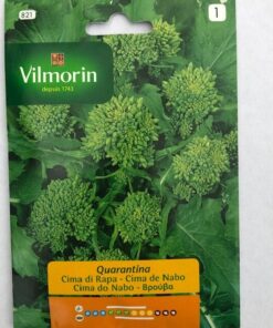 Sobre Semillas Vilmorin Grelo (cime di rapa o broccoli rabe)