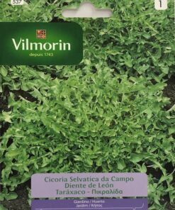 Sobre Semillas Vilmorin Diente de león (achicoria de campo)