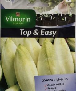 Sobre Semillas Vilmorin Endivia Witloof H1 híbrida