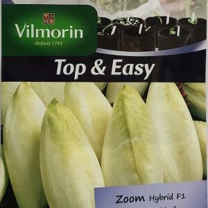 Sobre Semillas Vilmorin Endivia Witloof H1 híbrida