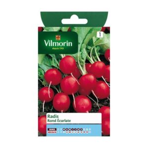 Sobre Semillas Vilmorin Rabanito redondo rojo (escarlata)