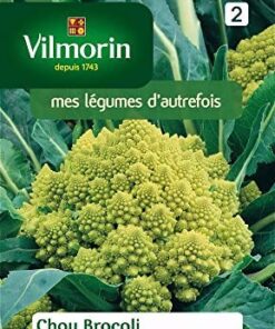 Sobre Semillas Vilmorin Bróccoli Romanesco