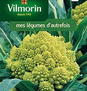 Sobre Semillas Vilmorin Bróccoli Romanesco