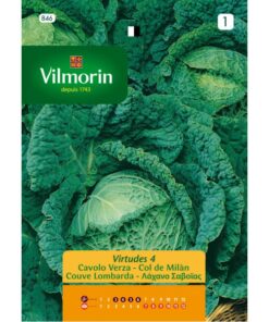 Sobre Semillas Vilmorin Repollo Milan Virtudes 4