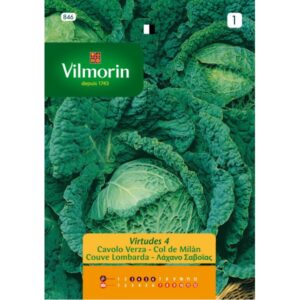 Sobre Semillas Vilmorin Repollo Milan Virtudes 4