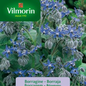 Sobre Semillas Vilmorin Borraja