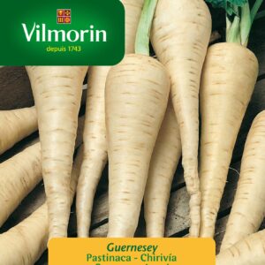 Sobre Semillas Vilmorin Chirivía Vilmorin