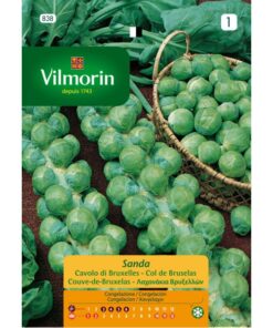 Sobre Semillas Vilmorin Repollo de Bruselas