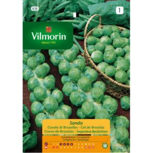 Sobre Semillas Vilmorin Repollo de Bruselas