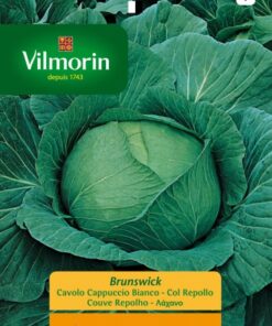 Sobre Semillas Vilmorin Repollo Brunswick