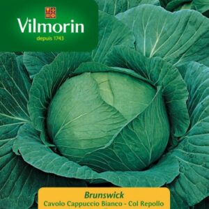 Sobre Semillas Vilmorin Repollo Brunswick