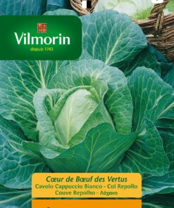 Sobre Semillas Vilmorin Repollo Corazón de Buey