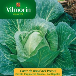 Sobre Semillas Vilmorin Repollo Corazón de Buey