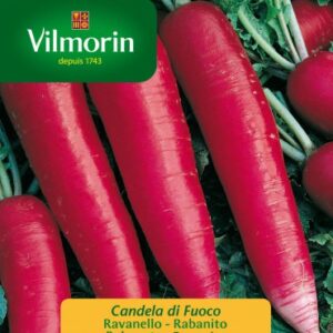 Sobre Semillas Vilmorin Rabanito Alargado candela de fuego
